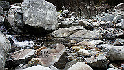 dsc00195_thumb.jpg