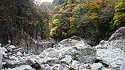 dsc00196_thumb.jpg