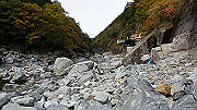 dsc00197_thumb.jpg
