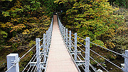 dsc00199_thumb.jpg