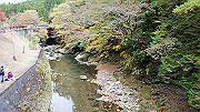 dsc00201_thumb.jpg