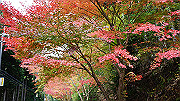 dsc00204_thumb.jpg