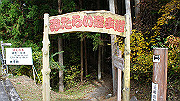 dsc00207_thumb.jpg