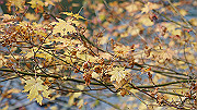 dsc00211_thumb.jpg