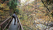 dsc00213_thumb.jpg