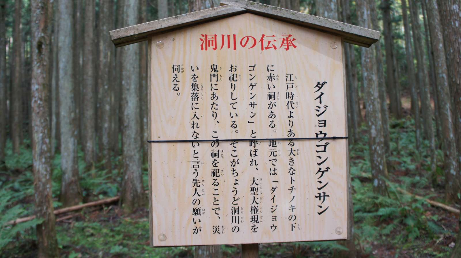 dsc00216.jpg