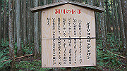 dsc00216_thumb.jpg