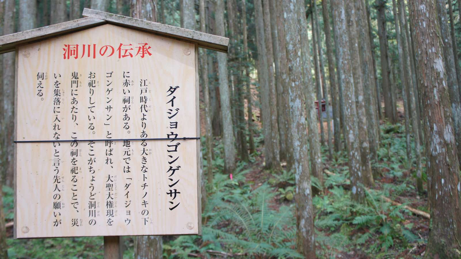 dsc00217.jpg