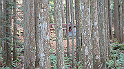 dsc00218_thumb.jpg