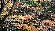 dsc00219_thumb.jpg