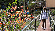 dsc00221_thumb.jpg