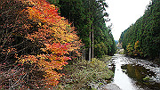 dsc00222_thumb.jpg