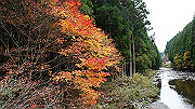 dsc00223_thumb.jpg