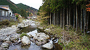 dsc00224_thumb.jpg