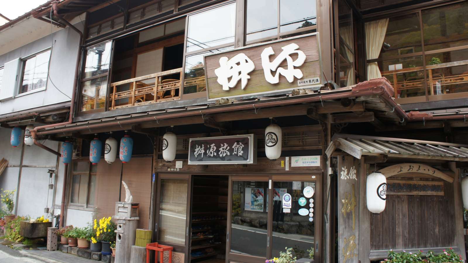 dsc00234.jpg
