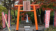 dsc00236_thumb.jpg