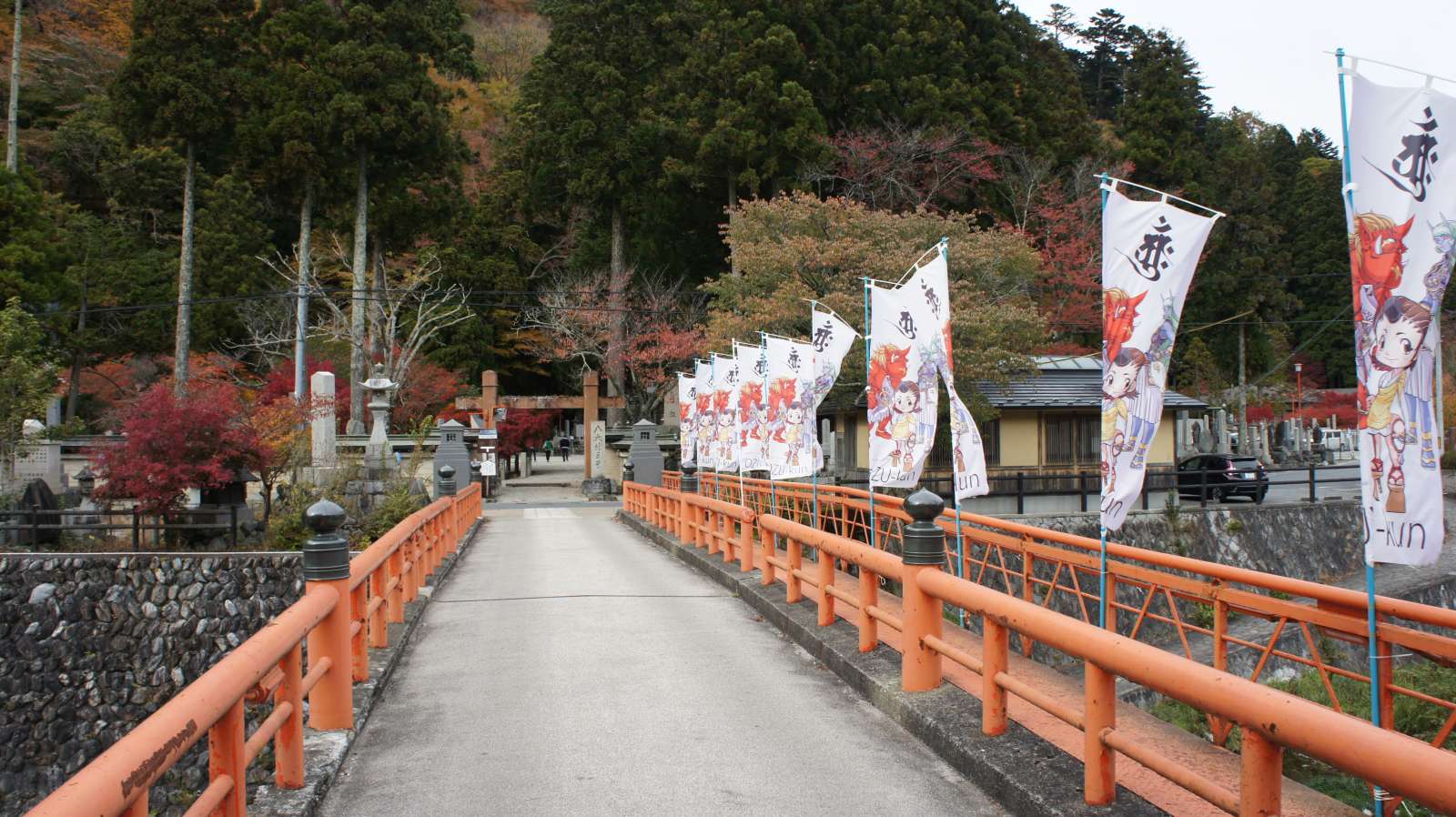 dsc00238.jpg