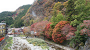 dsc00239_thumb.jpg