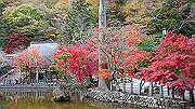 dsc00240_thumb.jpg