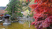 dsc00242_thumb.jpg