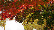 dsc00244_thumb.jpg
