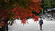 dsc00245_thumb.jpg