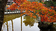 dsc00246_thumb.jpg