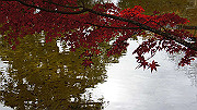 dsc00249_thumb.jpg