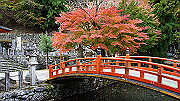 dsc00252_thumb.jpg