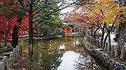 dsc00253_thumb.jpg