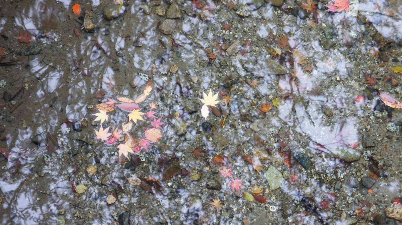dsc00254.jpg