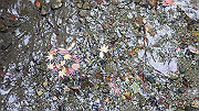 dsc00254_thumb.jpg