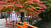 dsc00255_thumb.jpg