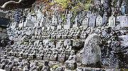 dsc00261_thumb.jpg