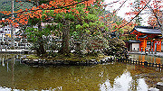 dsc00263_thumb.jpg