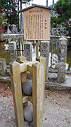 dsc00264_thumb.jpg