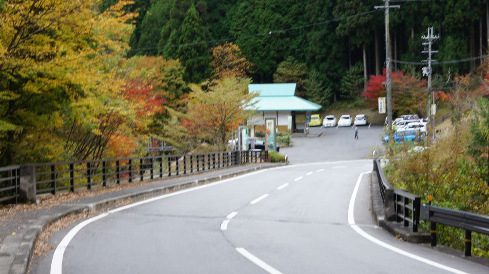 dsc00266.jpg