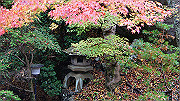 dsc00269_thumb.jpg