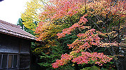 dsc00270_thumb.jpg