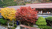 dsc00271_thumb.jpg