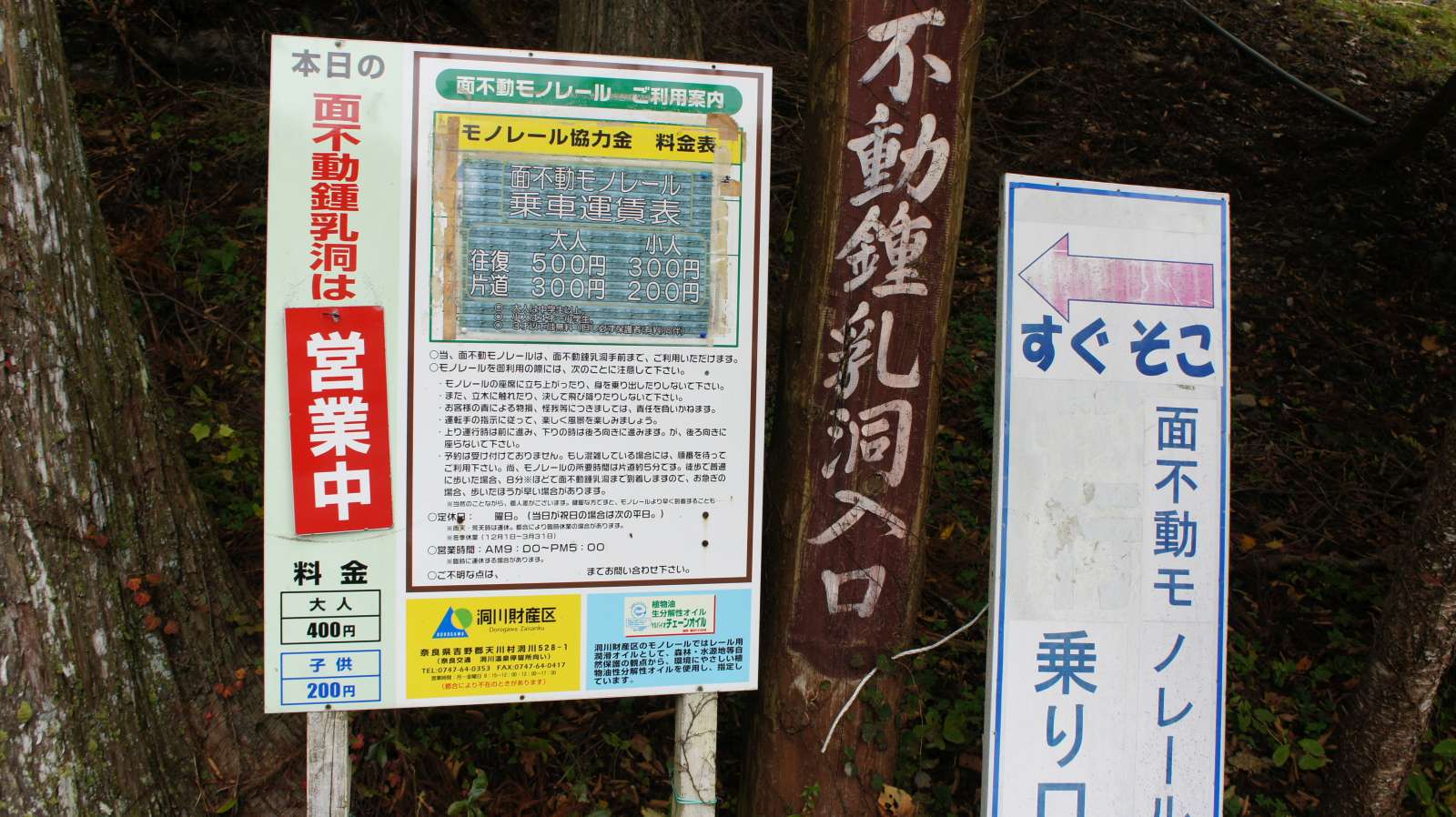dsc00272.jpg