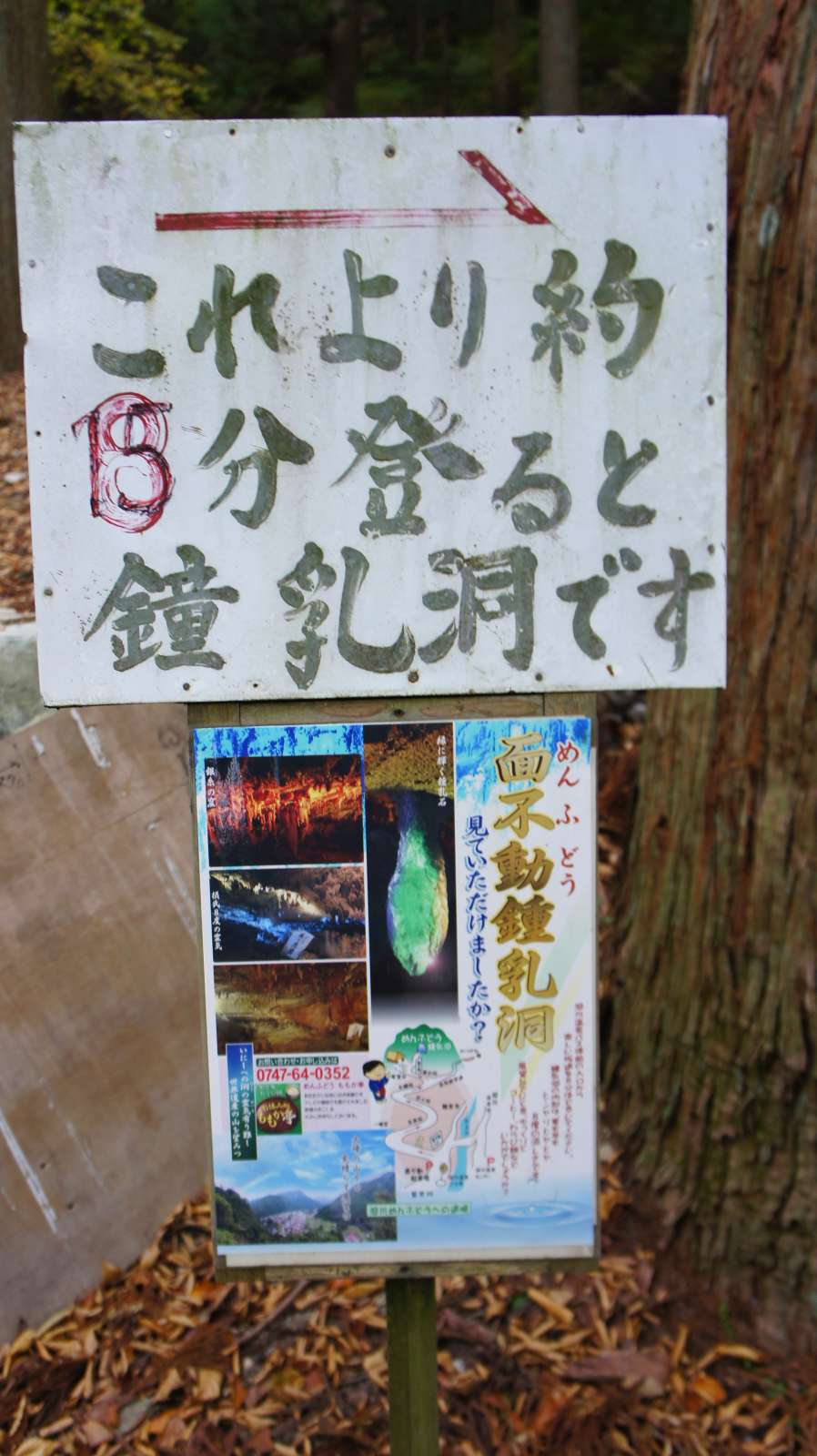 dsc00276.jpg