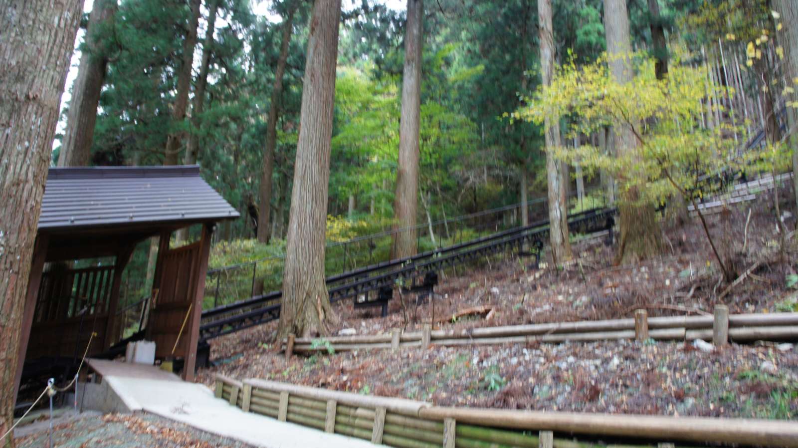 dsc00278.jpg
