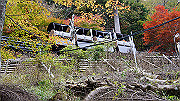 dsc00279_thumb.jpg