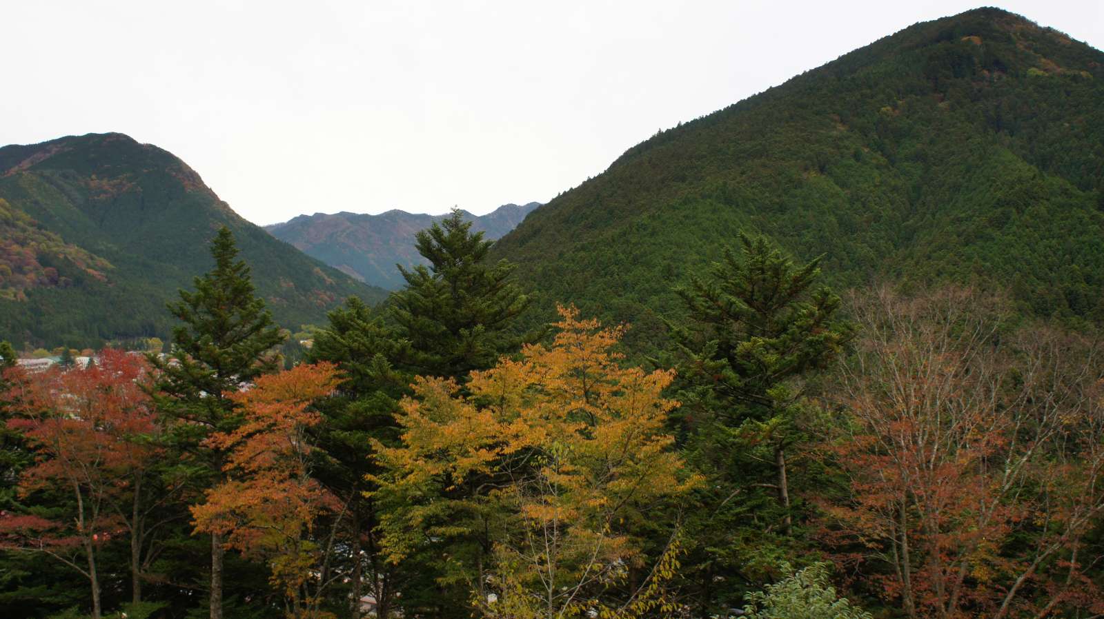 dsc00280.jpg
