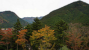 dsc00280_thumb.jpg