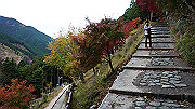 dsc00284_thumb.jpg