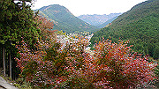 dsc00285_thumb.jpg