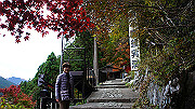 dsc00286_thumb.jpg