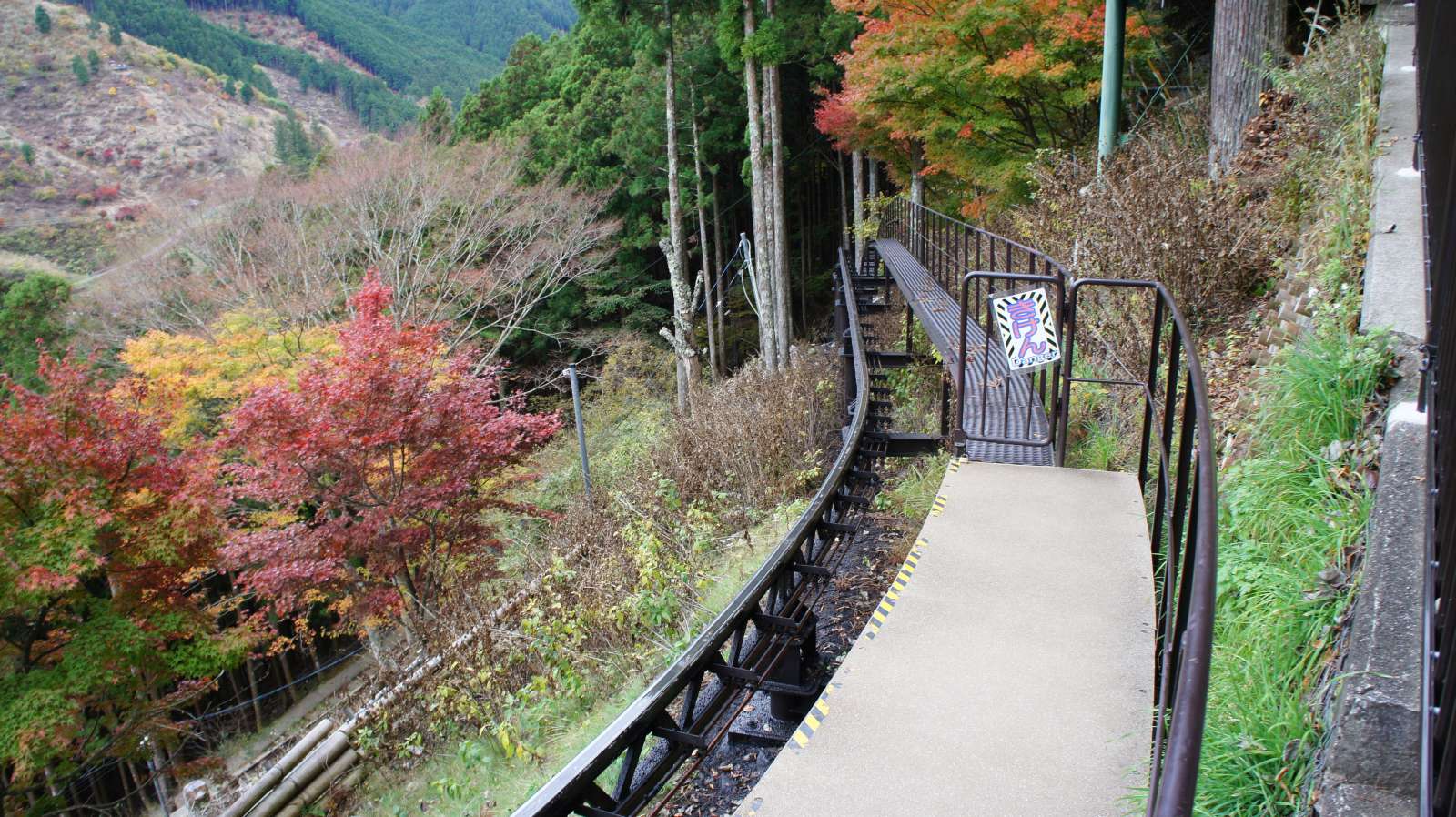 dsc00287.jpg